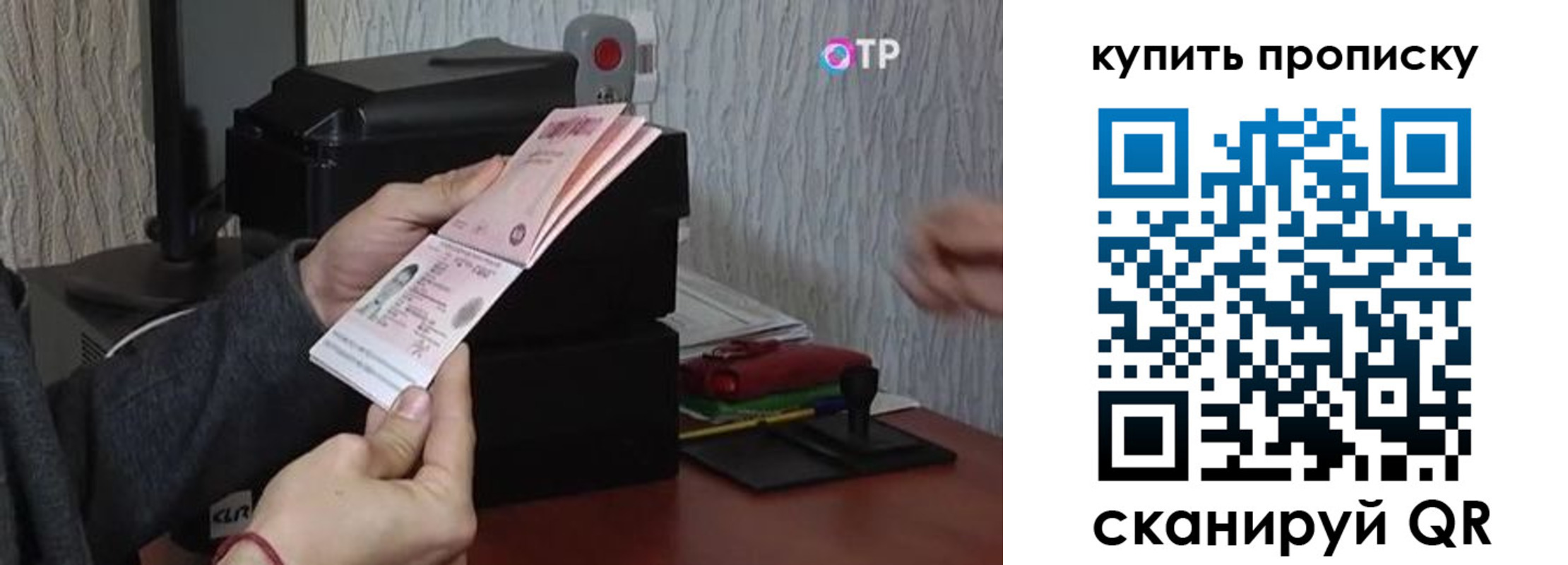 прописка гарантия в Красноярске